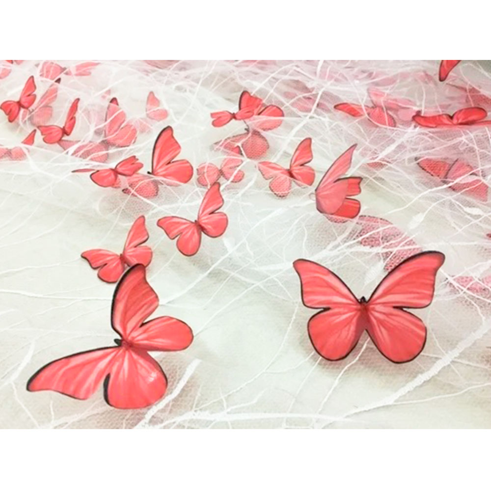 Hoge kwaliteit zwart transpara - Embroidery Design 3D recensie en prijs