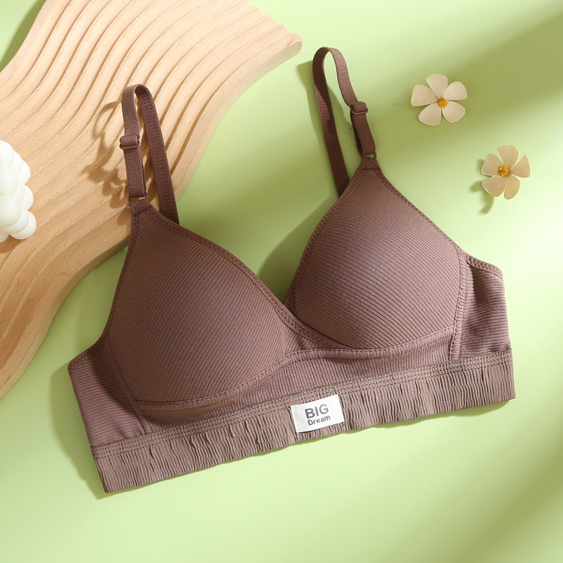 Franse stijl zomer bh van kato - Embroidery Ai recensie en prijs